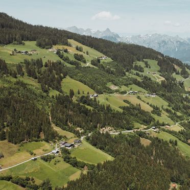 Sommer, Artlieb Hütte, Bischofshofen, Salzburg, Salzburg, Österreich