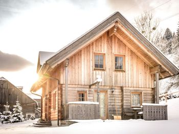 Fredi's Ferienhütte - Steiermark - Österreich