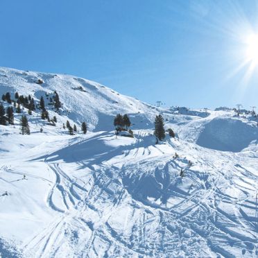 Innen Winter 27, Chalet Egger, Zell am Ziller, Zillertal, Tirol, Österreich