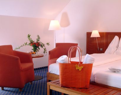 Hotel Erzherzog Johann: Classic room