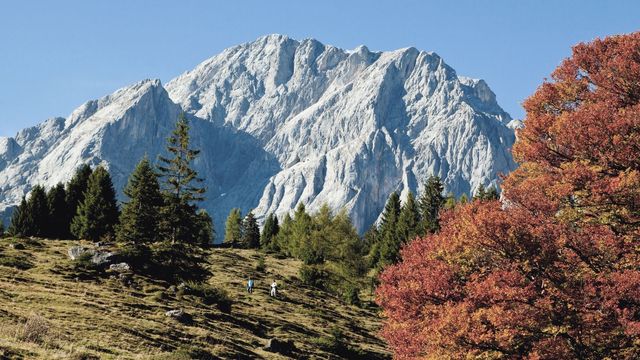 HERBSTZAUBER AM HOCHKÖNIG