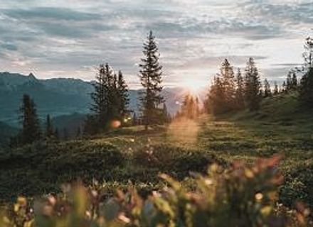Angebot: 7=6 STAY LONGER - die HOCHKÖNIGIN Mountain Resort