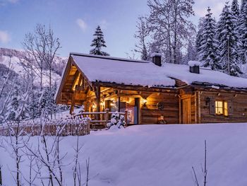 Die Chalet ALM - Styria  - Austria