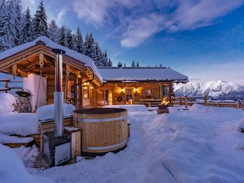 Die Chalet ALM - Styria  - Austria