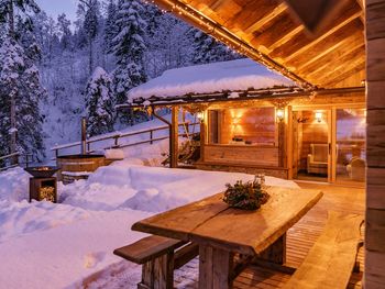 Die Chalet ALM - Styria  - Austria