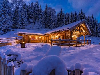 Die Chalet ALM - Styria  - Austria