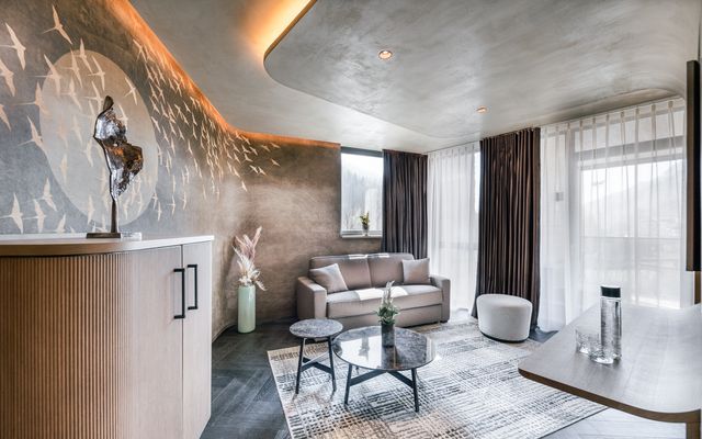 Unterkunft Zimmer/Appartement/Chalet: Balance-Suite