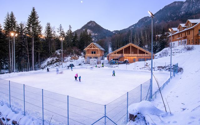 NarzissendorfFischerwiese-Winternacht1(c)NDZ