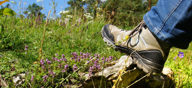 Landhaus Sponsel-Regus: hiking days