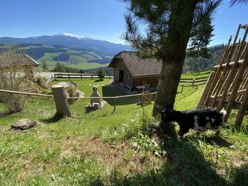 Kalchbauer Hütte - Styria  - Austria