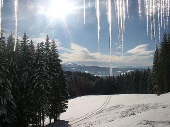 Kalchersimon Hütte - Carinthia  - Austria