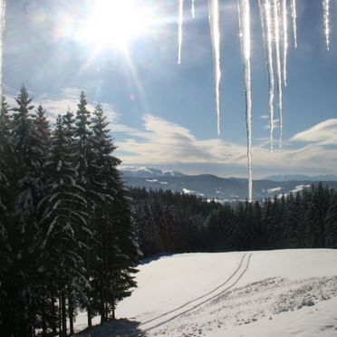 , Kalchersimon Hütte, Preitenegg, Carinthia , Austria