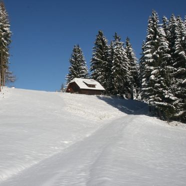 , Kalchersimon Hütte, Preitenegg, Carinthia , Austria