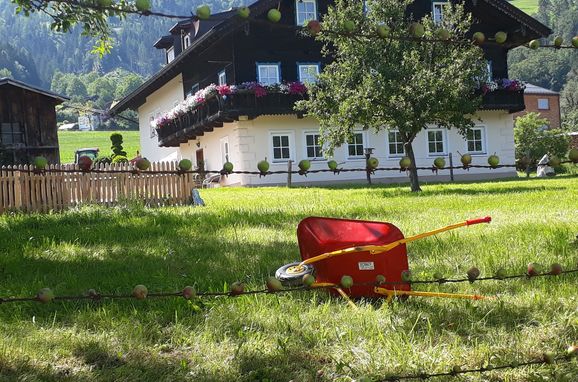 Sommer, Hohlbichlgut, Bischofshofen, Salzburg, Salzburg, Österreich