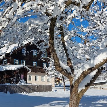 Winter, Hohlbichlgut, Bischofshofen, Salzburg, Salzburg, Österreich