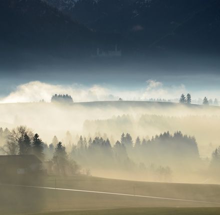 Angebot: 4 für 3 Special inkl. Halbpension - Hartungs Hoteldorf
