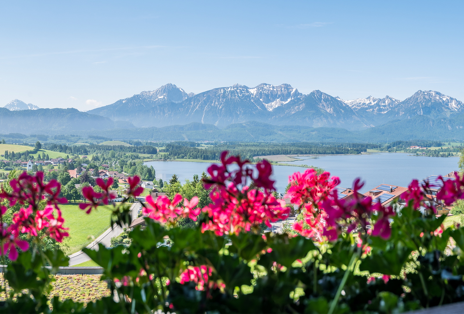Angebot: Wohlfühltage - Hartungs Hoteldorf