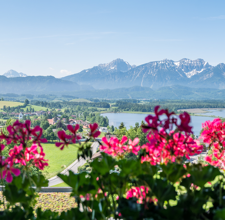 Angebot: Wohlfühltage - Hartungs Hoteldorf