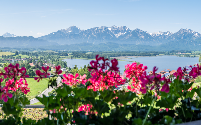 Angebot: Wohlfühltage - Hartungs Hoteldorf