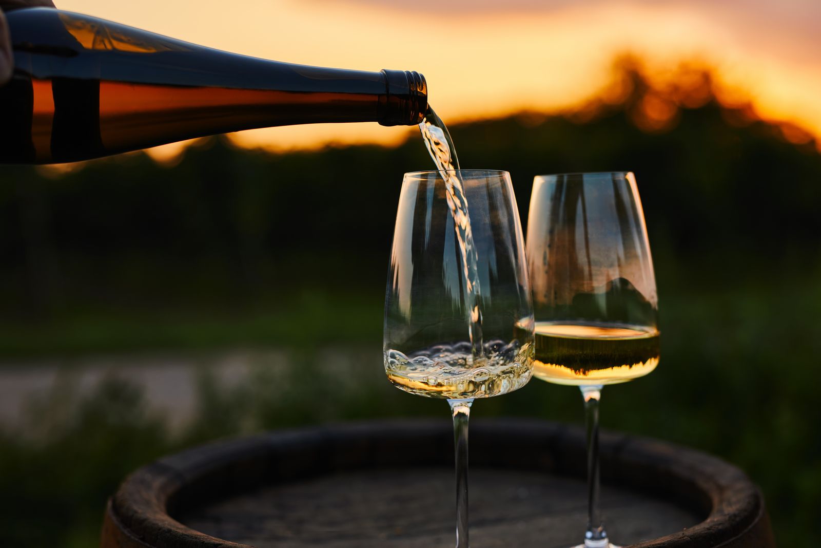 Angebot: Rundumsorglos - Hartungs Hoteldorf