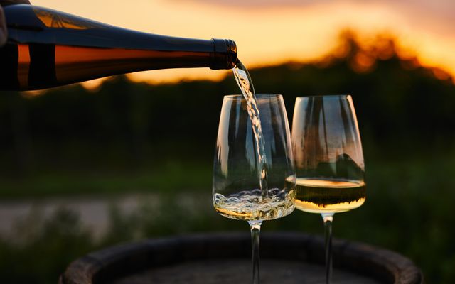 Angebot: Rundumsorglos - Hartungs Hoteldorf
