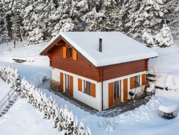 Chalet l'Ambigú - Wallis - Schweiz