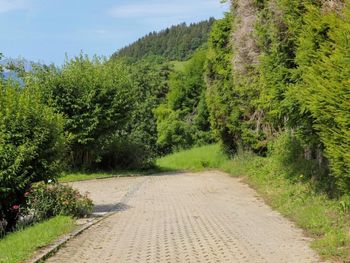 Chalet les Pommiers - Waadt - Schweiz