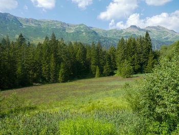 Rustico Enrico - Tessin - Schweiz