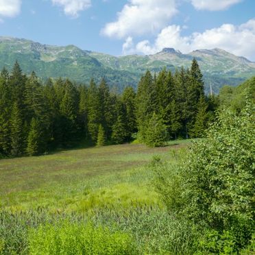 Inside Winter 24, Rustico Enrico, Campo Blenio, Tessin, Ticino, Switzerland