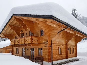 Chalet Dörfli - Waadt - Schweiz