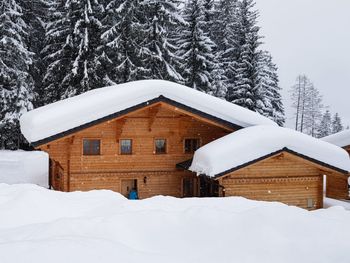 Chalet Dörfli - Waadt - Schweiz