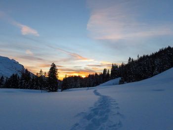 Chalet Dörfli - Vaud - Switzerland