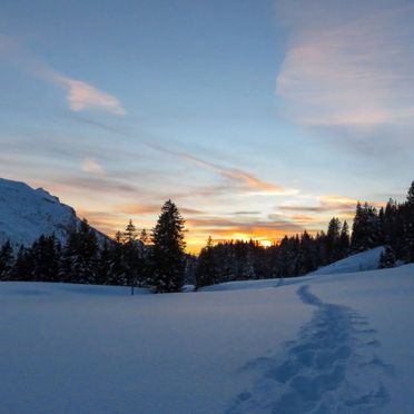 Innen Winter 31, Chalet Dörfli, Les Diablerets, Waadtländer Alpen, Waadt, Schweiz