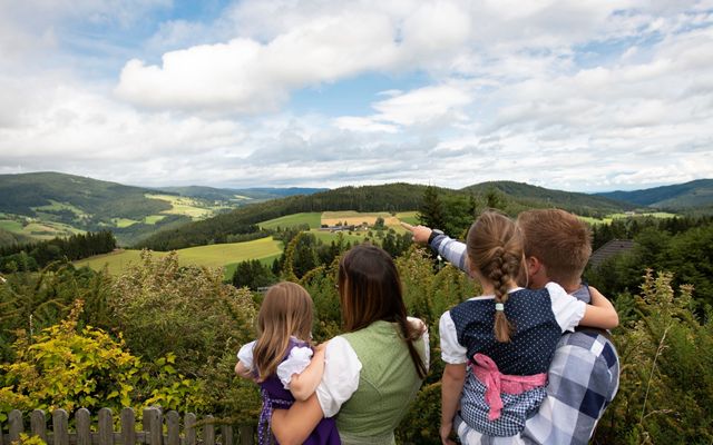 Grün, soweit das Auge reicht (c) Familienhotel Berger/Niki Pommer