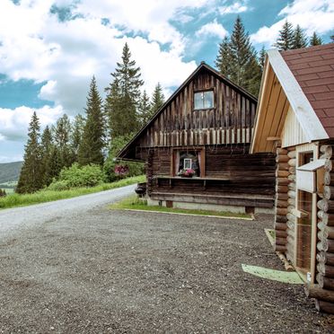 View to the hut and sauna hut, Almhütte Hebalm, Pack, Steiermark, Styria , Austria