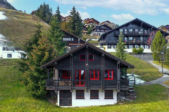 Außen Sommer 1 - Hauptbild, Chalet le Cyclamen, Champoussin, Portes du Soleil, Wallis, Schweiz