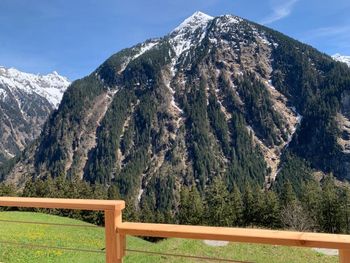 Alpennestl - Tirol - Österreich