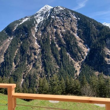 Sommer, Alpennestl, Ginzling-Mayrhofen, Tirol, Tirol, Österreich