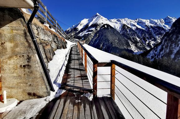 Winter, Alpennestl, Ginzling-Mayrhofen, Tirol, Tirol, Österreich