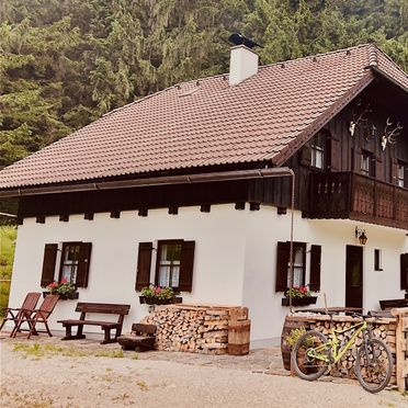 , Hochsteinalm, Traunkirchen, Oberösterreich, Upper Austria, Austria