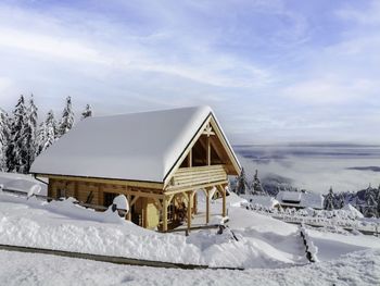 Chalet Amsel - Carinthia  - Austria