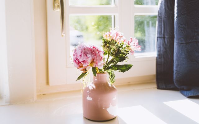 Ferienwohnung Nr. 4  image 3 - Gut Oehe