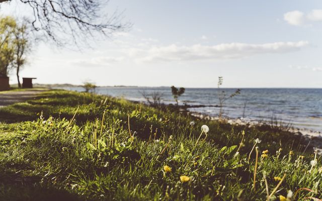 Ferienwohnung Nr. 17 mit Ostseeblick thumbnail 13 - Gut Oehe
