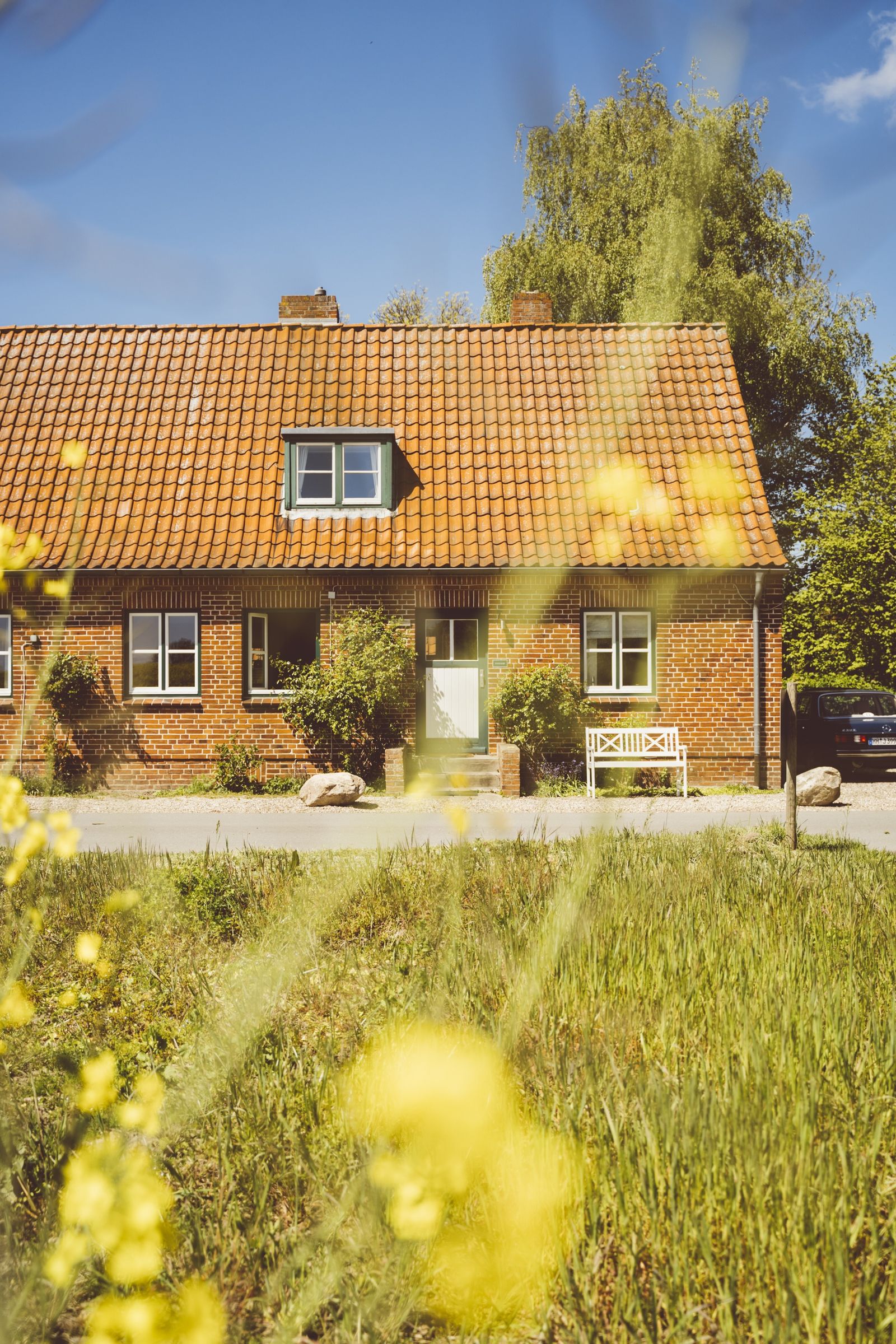 Vogelkoje (Hund erlaubt) image 2 - Gut Oehe