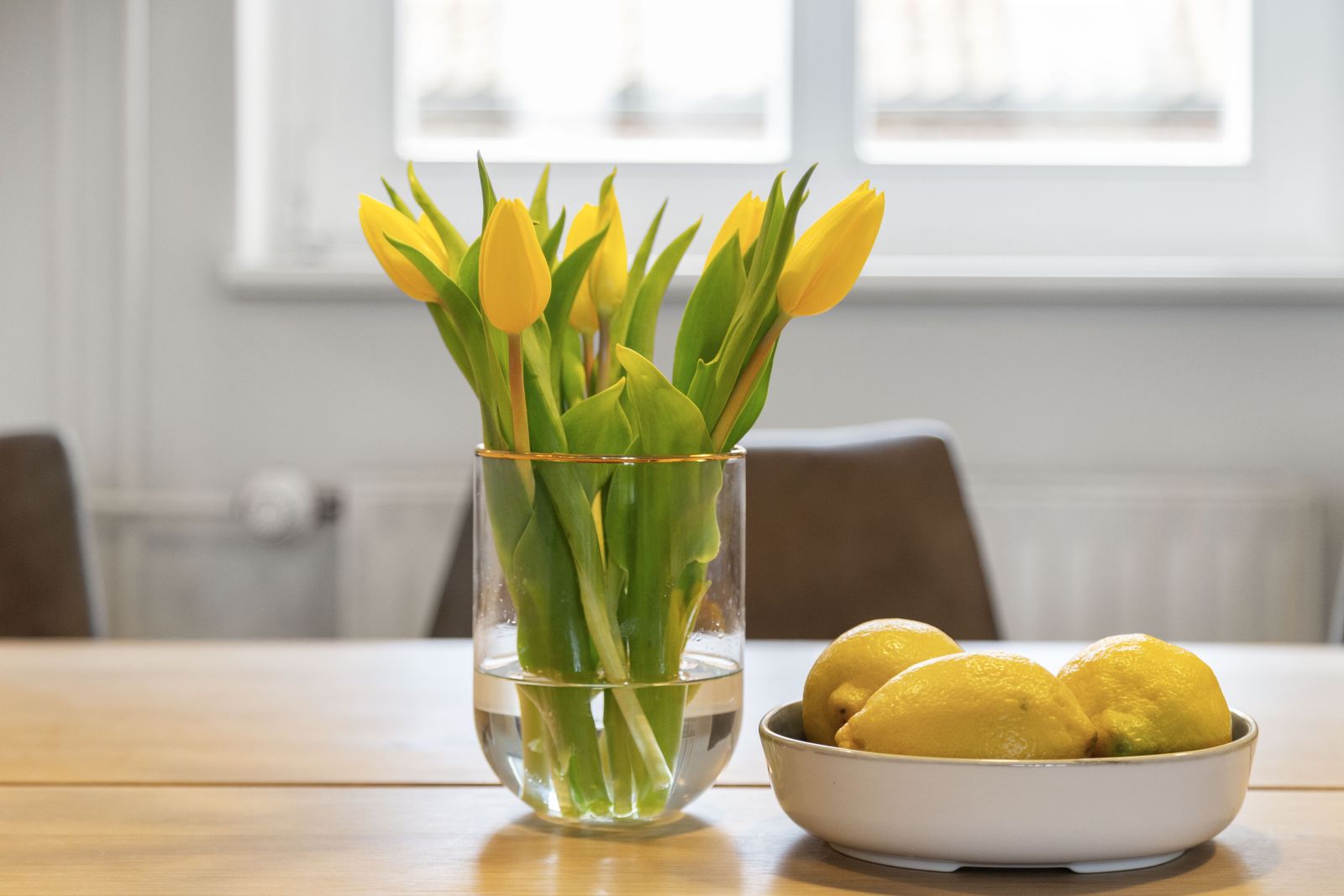 Vogelkoje (Hund erlaubt) image 28 - Gut Oehe