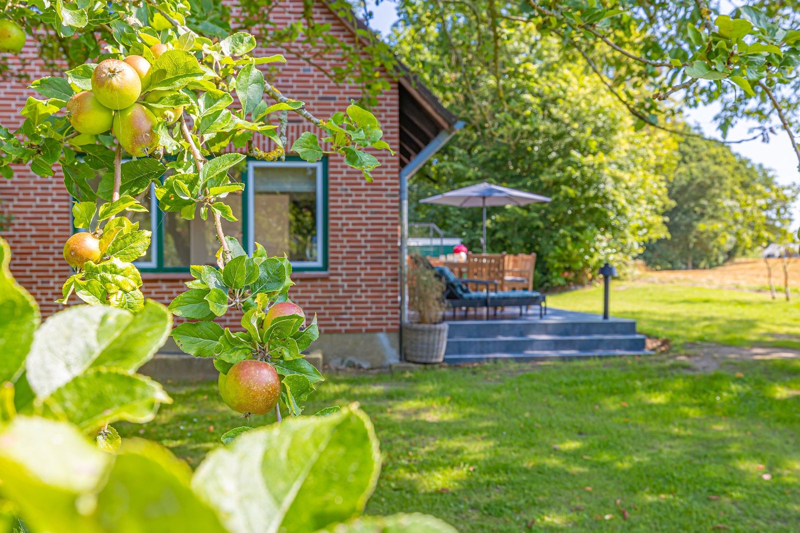 Hummerkoje (Hund erlaubt) image 14 - Gut Oehe