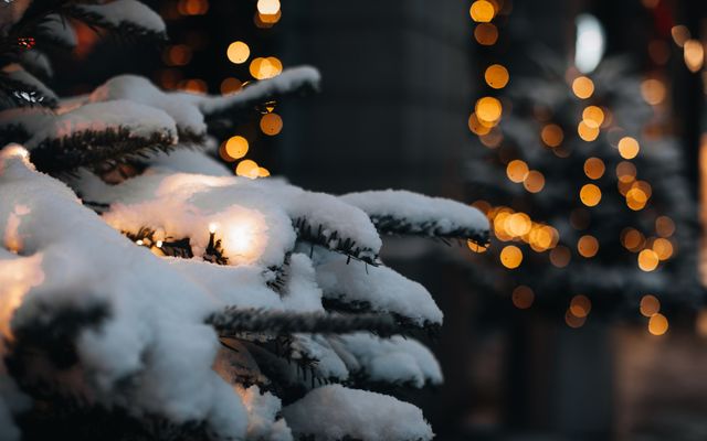 Angebot: Advent - Gut Oehe