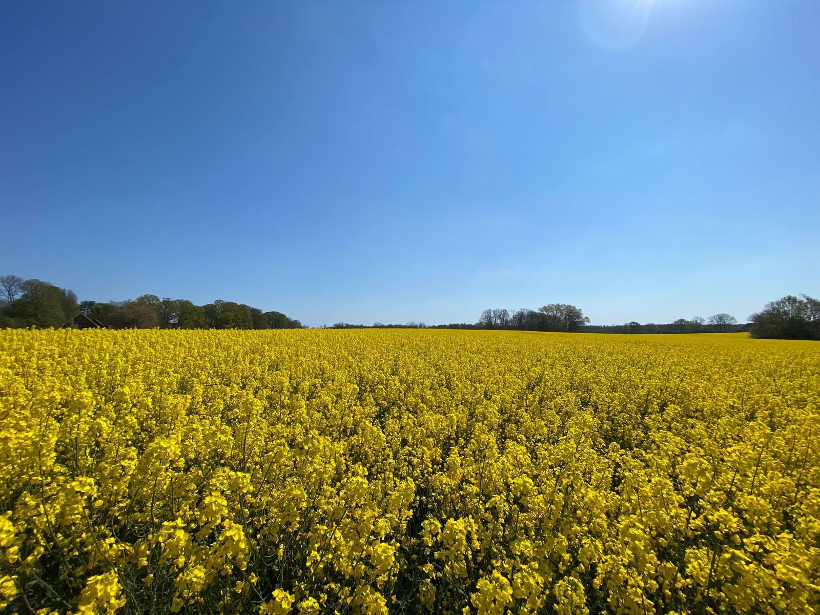 In der Natur unterwegs! image 1 - Gut Oehe