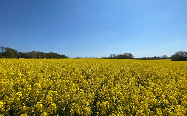 Angebot: In der Natur unterwegs! - Gut Oehe