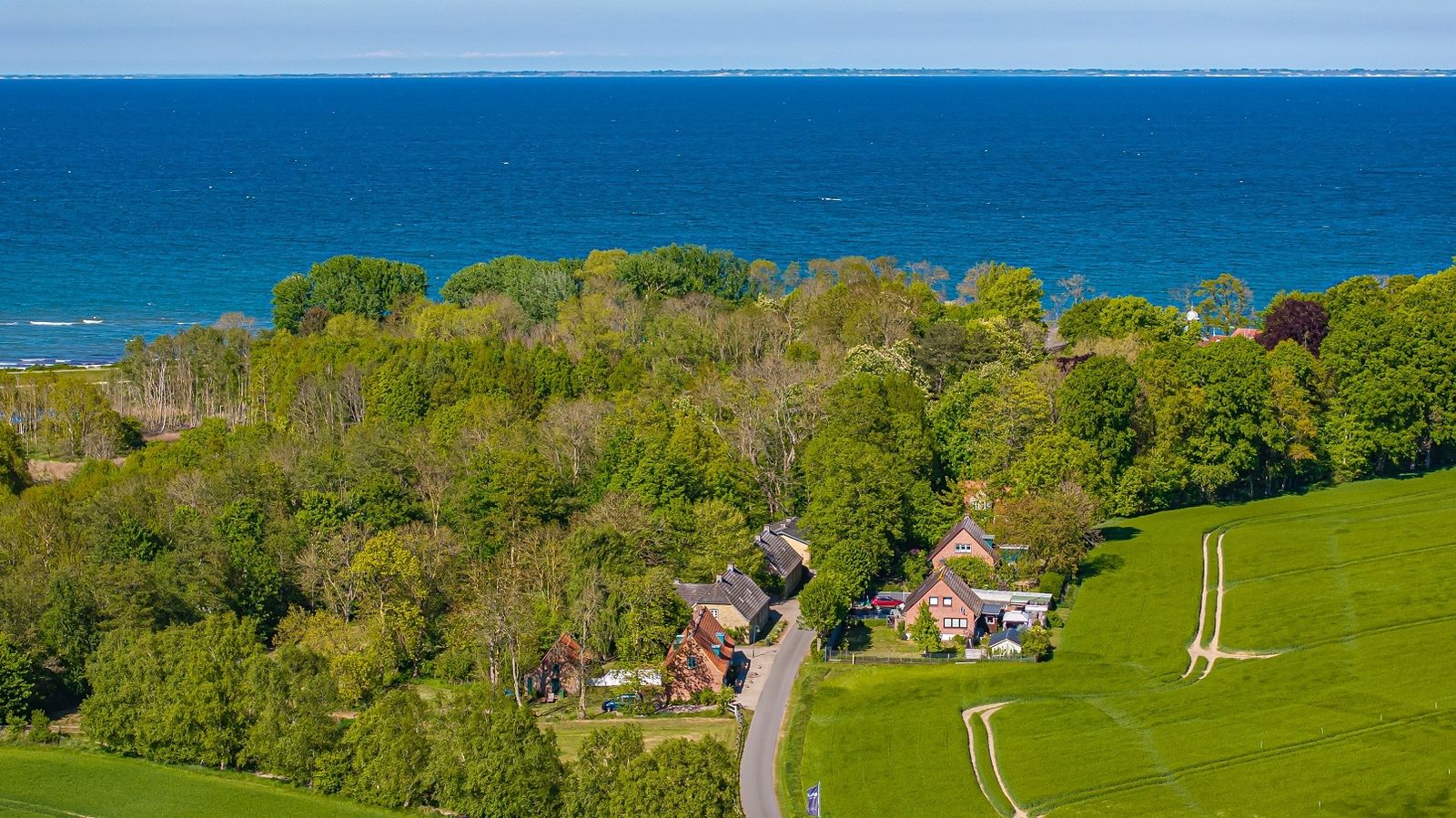 Seepferdchen image 2 - Gut Oehe